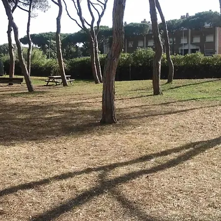 Bright In Mar * Gava